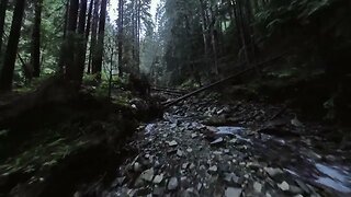 smooth rapid flight over a mountain river close to the water among a dense forest m SBV 346657940 HD