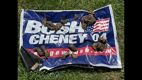 The Bush / Cheney / Legacy Of Dog Shit