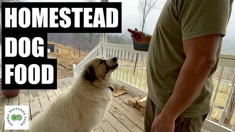 DIY Homestead Dog Food // Raw Feeding Diet