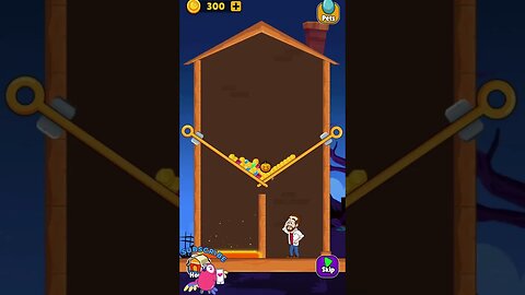 Home Pin: Pull The Pin Puzzle - Level 4 #4