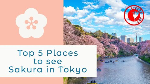 Top 5 Places to see Sakura (Cherry Blossom) in Tokyo