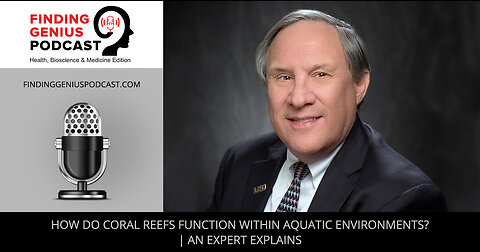 How Do Coral Reefs Function Within Aquatic Environments? | An Expert Explains
