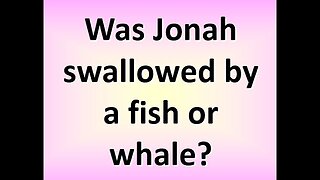 Was Jonah swallowed by fish or whale