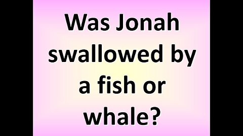 Was Jonah swallowed by fish or whale