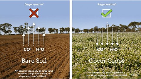 Soil Health is Human Health