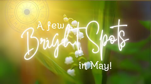 Some bright spots in May 2024 to put a spring in your step