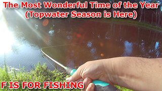 The Most Wonderful Time of the Year (Topwater Season is Here)