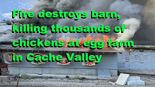 Fire Destroys Large Commercial Egg Farm Barn, Killing Thousands of Chickens