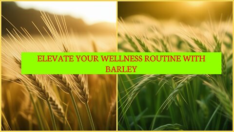 Elevate Your Wellness Routine with Barley: A Natural Solution for Better Health