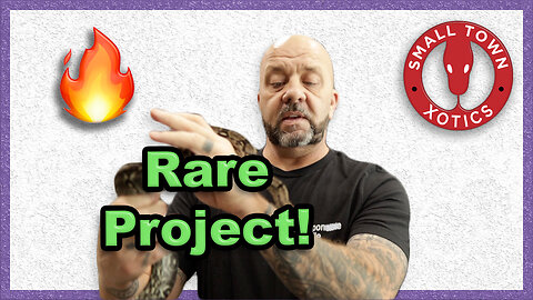 Ultra Rare Project! | New Animal