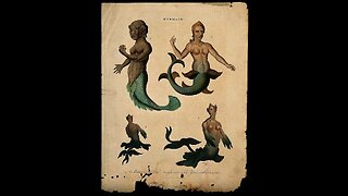 Mermaids