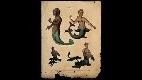 Mermaids