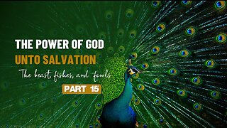015 THE POWER OF GOD UNTO SALVATION part 15