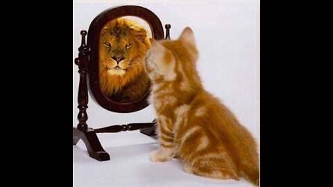 Who do you see in the Mirror? Do you VALUE your life? Are you the Strongest version of you?