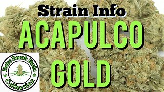 Acapulco Gold, Cannabis Strain