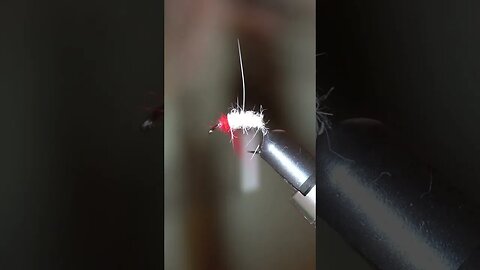 Dubbing two color simple bug, quick fly tying #shorts