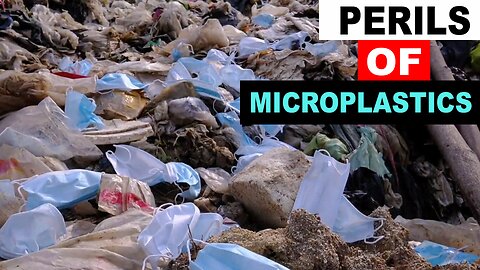 THE PERILS OF MICROPLASTICS THAT ARE IN EVERYTHING