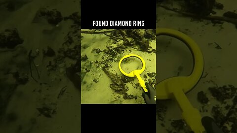 I found Diamond Ring 💍 lost in the river
