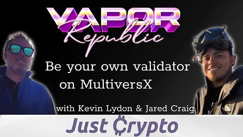 Vapor Republic - Be Your Own Validator on MultiversX