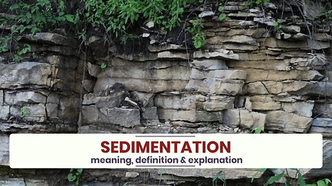 What is SEDIMENTATION?