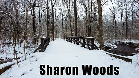 Winter Runderland at Sharon Woods