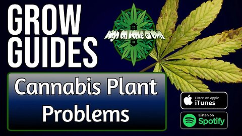Cannabis Plant Problems | Grow Guides Episode 15