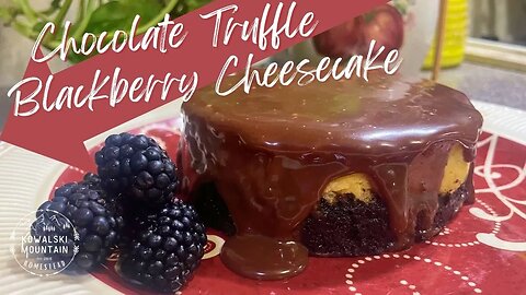 Chocolate Truffle Blackberry Cheesecake | HIS and HERS Valentine's Day Cheesecakes | Bake with Me