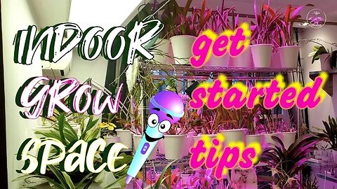 🎤Indoor Grow Space | Get Started | Tips to Get Started with Trish's Orchid Life #ninjaorchids