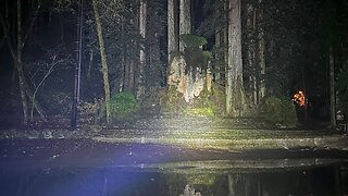 Shocking footage of man exploring Bohemian grove what he sees is horrible.