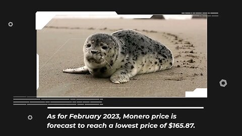 Monero Price Prediction 2023 XMR Crypto Forecast up to $282 34