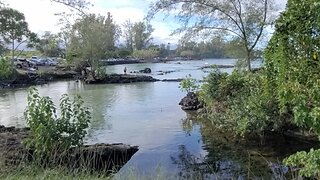 LIVE in Hawaii - Hilo Carlsmith Beach Park