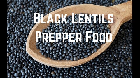 Black Lentils Prepper Food