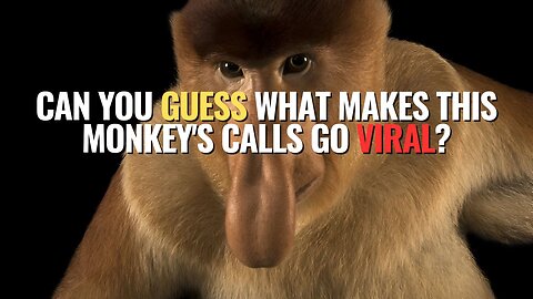 Can You Guess What Makes This Monkey's Calls Go Viral?