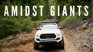 SECRETS of the GIANT Forest | Sequoia Overland California