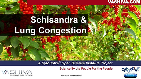 Dr.SHIVA: Schisandra & Lung Congestion - A CytoSolve® Analysis
