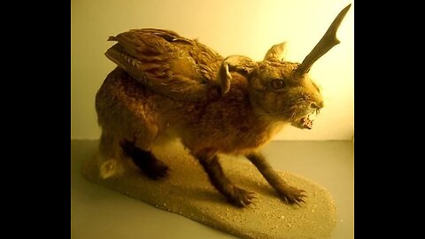 Wolpertinger