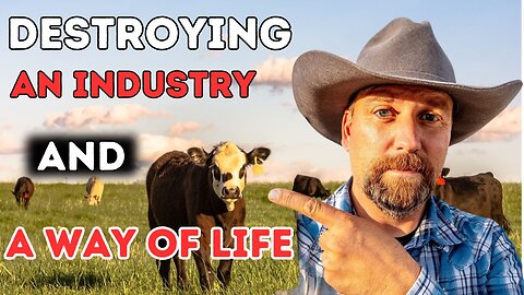 Destroying An Industry And A Way Of Life
