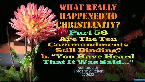 Fred Zurcher on What Really Happened to Christianity pt56