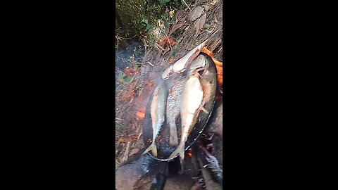 macarl fry in INDIAN style fish 🐟🐟 fry in INDIAN GOAN 🇮🇳🇮🇳 🇺🇸🇺🇸🇺🇲🇺🇲 style Amarican