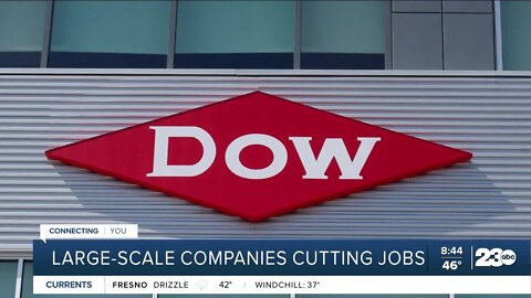 Large-scale companies continue to cut jobs