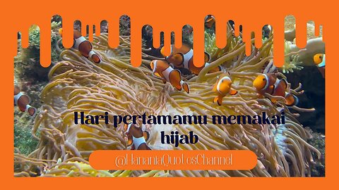 Hari pertamamu memakai hijab#short#shorts#rumbleshort