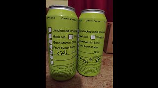 Beer Review #29 Pickle Gose and Belgian Dubbul