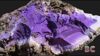 “Incredibly rare” ancient purple dye that was once worth more than gold found in U.K.