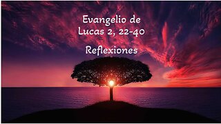 Reflexiones sobre el Evangelio de Lucas 2, 22-40