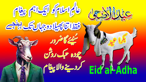 Eid Ul Adha Status | Bakra Eid Mubarak Whatsapp Status 2024