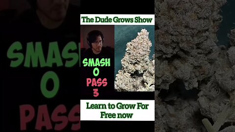Mark doesn't speak for The Dude Grows Show 🔥 but we'd smash too 🌱🤷 subscribe to learn how, now 🔥