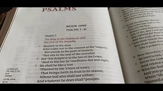 Blessed Only in Christ (Psalm 1) | SERMON | LOVING THE PSALMS