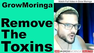Use Moringa for Soil Restoration & Remove Heavy Metals with Mitigation Techniques | Lead & Mercury