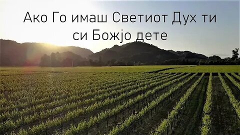 СВЕТИОТ ДУХ ВО НАШИОТ ЖИВОТ