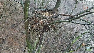 Hays Eagles Nest Structure Study and how it is Supported 2023 01 29 15:02